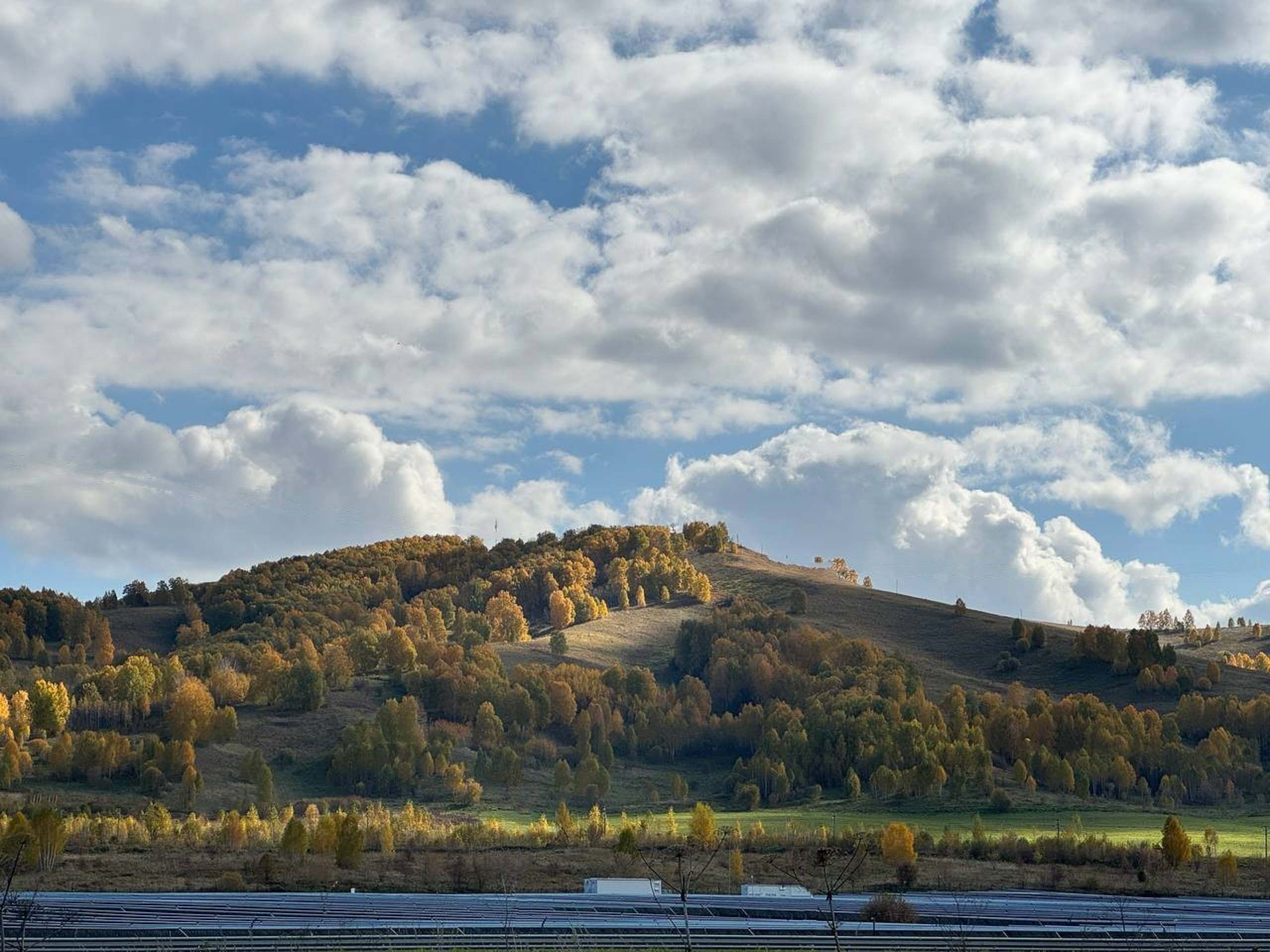 КАРЛУУ — Алтай, Майминский р-н — фото 6