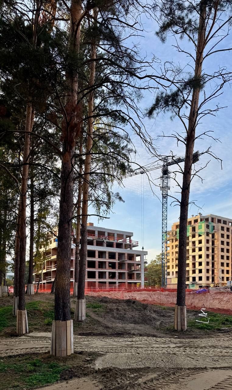 ВОТ И ОСЕНЬ