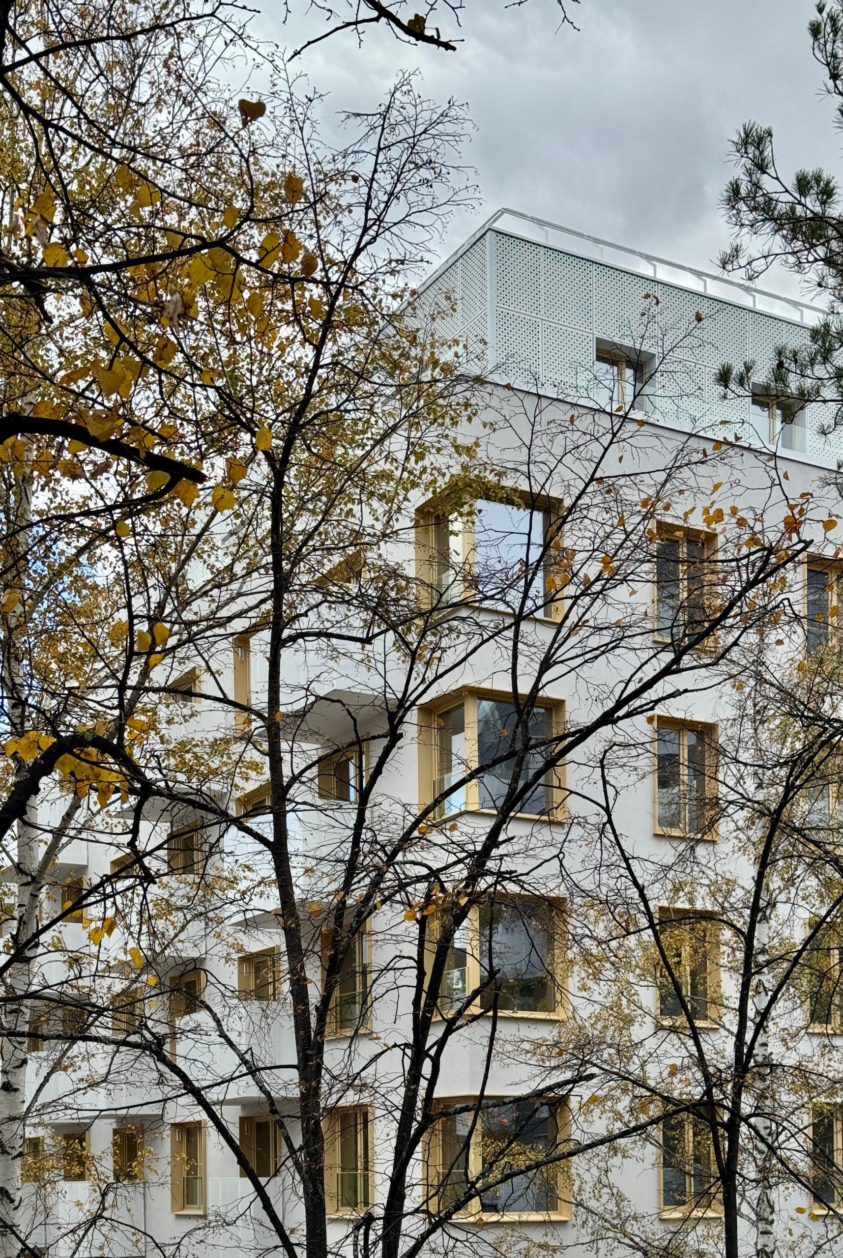 ЖИЛОЙ РАЙОН ВЫШКА ВВЕДЕН В ЭКСПЛУАТАЦИЮ